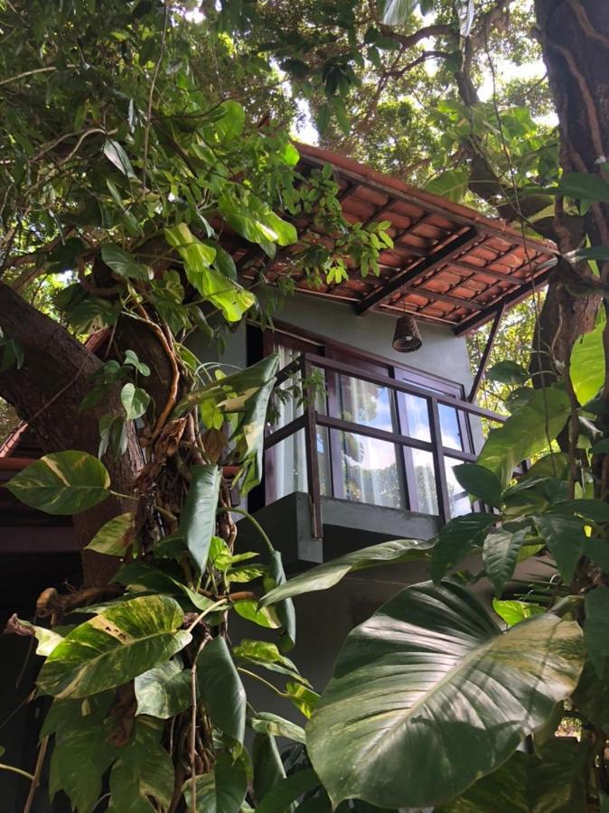Hotel Kuara Pipa Praia de Pipa Esterno foto